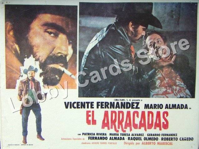 VICENTE FERNANDEZ/EL ARRACADAS